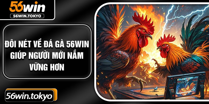 Đôi nét về đá gà 56Win giúp người mới nắm vững hơn