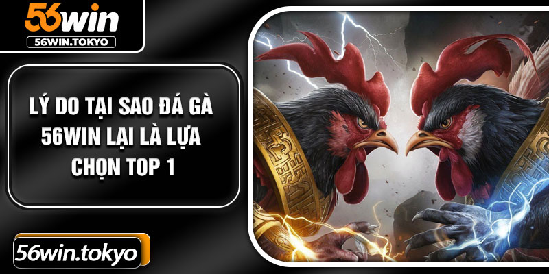Lý do tại sao đá gà 56Win lại là lựa chọn top 1