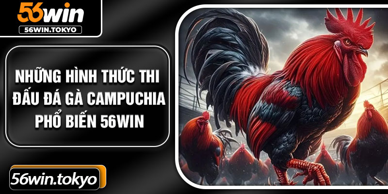 Những hình thức thi đấu đá gà Campuchia phổ biến 56Win