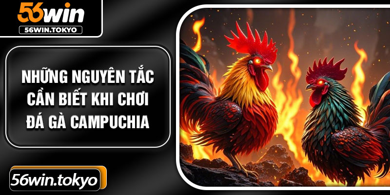 Những nguyên tắc cần biết khi chơi đá gà Campuchia