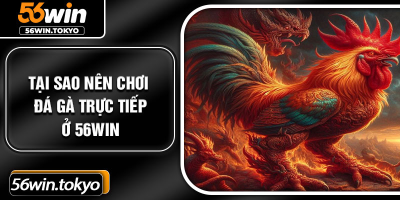 Tại sao nên chơi đá gà trực tiếp ở 56Win