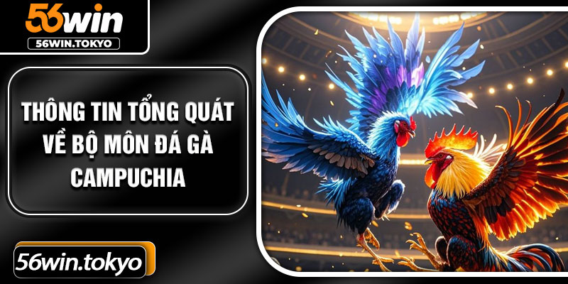 Thông tin tổng quát về bộ môn đá gà Campuchia